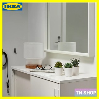 FEJKA เฟคก้า IKEA ไม้ประดิษฐ์+กระถาง  ขนาด 6 ซม. 3 ชิ้น