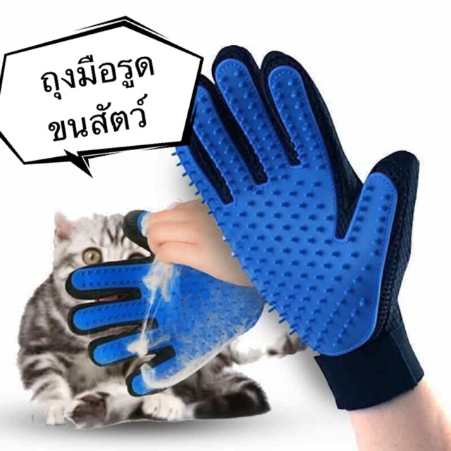 ภาพหน้าปกสินค้าลดล้างสต็อค  ถุงมือรูดขนสัตว์เลี้ยง ถุงมือรูดขนแมว ถุงมือรูดขนสุนัข จากร้าน ttch.mjp บน Shopee