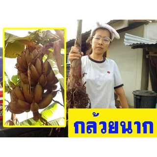 shopee-thailand