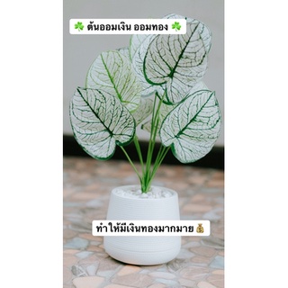 🌿 ต้นออมเงิน ออมทอง ต้นไม้มงคล ต้นไม้ปลอม 🌿