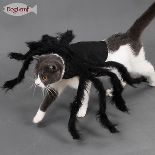 ชุดน้องเเมว cosplay ชุดเเฟนตาซีแมว ชุดเเมวเฝ้าบ้าน spider ชุดเเมว ชุดหมา เเต่งตัวให้เเมวตัวโปรดของคุณ เพื่อเเมวที่คุณรัก