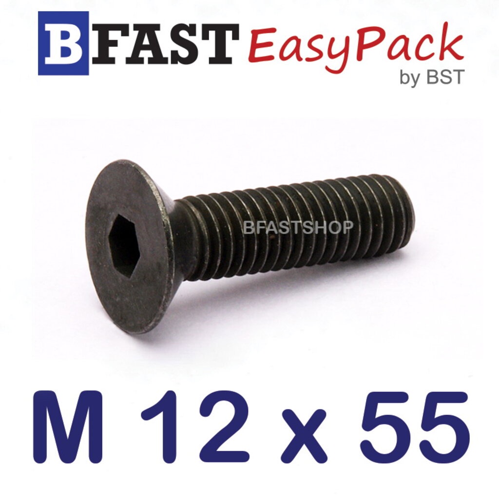 สกรูหัวจมเตเปอร์ดำ-m-12-x-55