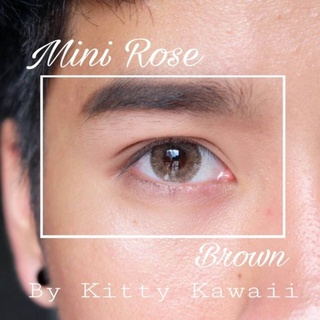 คอนแทคเลนส์ (kitty kawaii) Mini Rose Brown  สายตา-50ถึง-550