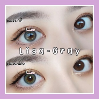 🆕️Lisa-Gray☆14.2เท่าตา☆สายตา00-1000☆รายเดือน