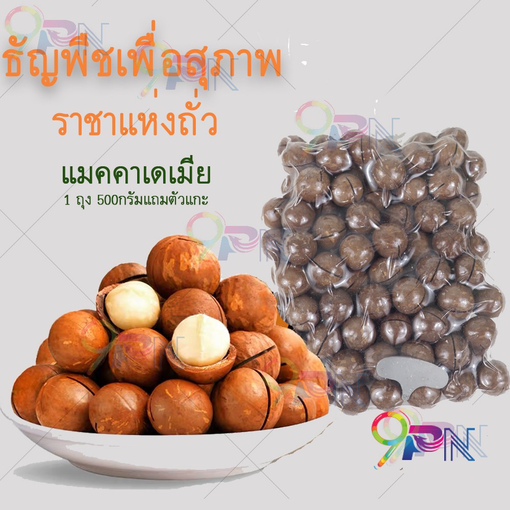 แมคคาเดเมีย-500g-แบบมีเปลือก-แมคคาเดเมีย-แถมที่แกะเปลือกฟรี-ธัญพืชเพื่อสุขภาพ-ราชาแห่งถั่ว