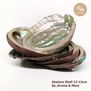 Aroma&amp;More  Abalone shell เปลือกหอยอะบาโลน(หอยเป๋าฮื้อ)ขนาด 11-12cm / Abalone Natural Sea shell 11-12Cm