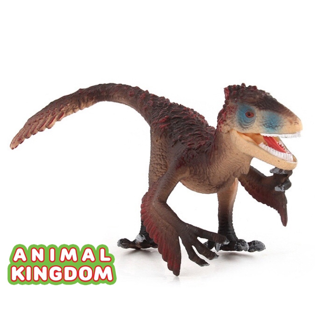 animal-kingdom-โมเดลไดโนเสาร์-utharaptor-ขนาด-28-00-cm-จากหาดใหญ่