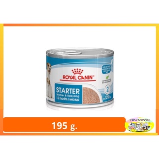 Royal Canin Starter Mousse อาหารกระป๋องน้องหมา 195 g