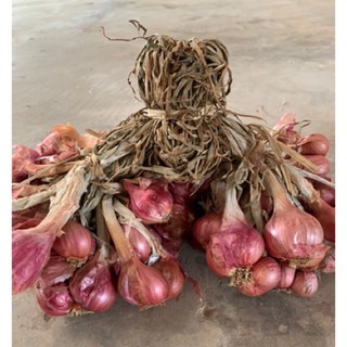 ภาพหน้าปกสินค้าหอมแดงมัดจุก (มีต้น) 1กก.*** Shallot1 kg *****#Shallot หอมแดง#มัดจุก#เครื่องครัว#กระเทียม#garlic#ยี่ห้อ✔️✔️**** ที่เกี่ยวข้อง