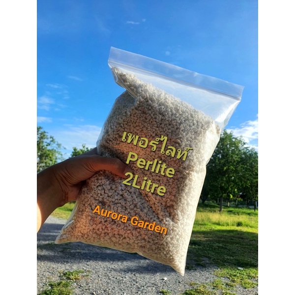 perlite-เพอร์ไลท์-วัสดุปลูกต้นไม้-ช่วยให้ดินมีความโปร่ง-ไม่แน่นเกินไป