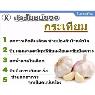 ภาพขนาดย่อของภาพหน้าปกสินค้ากระเทียม สกัดเข้มข้น แก้ปัญหา ไขมันในเลือดสูง ความดันสูง การ์ลิซีน กิฟฟารีน  สารสกัดจากกระเทียม อาหารเสริม สมุนไพร จากร้าน thanakornngamchalard บน Shopee ภาพที่ 1