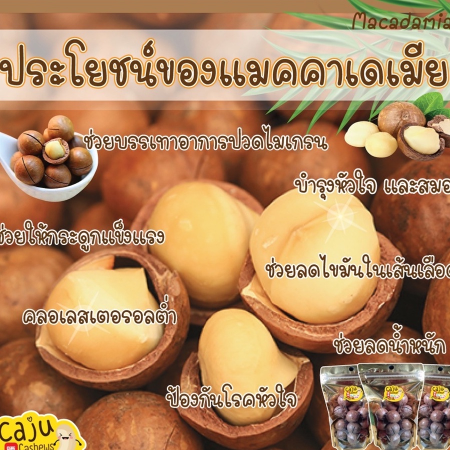 caju-cashews-แมคคาเดเมีย-เต็มเมล็ดเมล็ดใหญ่รสชาติดี-160-กรัม