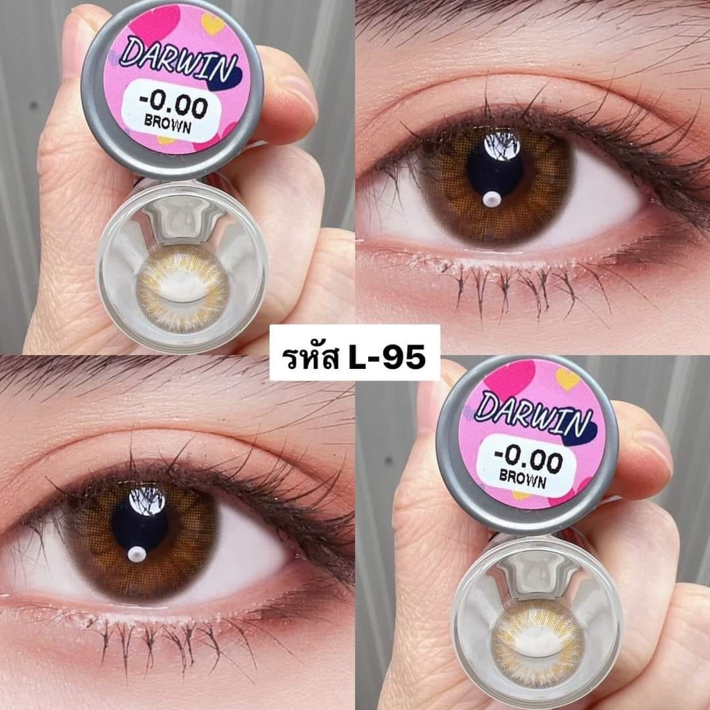 คอนแทคเลนส์🌈Darwin🌈 Brown/Gray (Lovelysoft) ขนาดมินิ💖 | Shopee Thailand