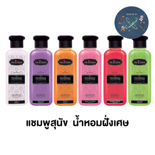 แชมพูสุนัข หอมมาก Chic & Charm by  bearing ชิค แอนด์ ชาร์ม  500 ml