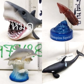 (แท้/มือ2) Takara Kaiyodo VAMPIRE SQUID Mini Figure หมึกแวมไพร์,shark figure ฉลาม สัตว์จิ๋ว Favorite Killer Whale Vinyl