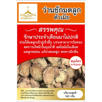 ว่านชักมดลูกตัวเมีย-สมุนไพรสำหรับผู้หญิง-คัดเฉพาะว่านตัวเมีย-รักษาประจำเดือนมาไม่ปกติ-สมุนไพรบ้านเจ้าพระยา