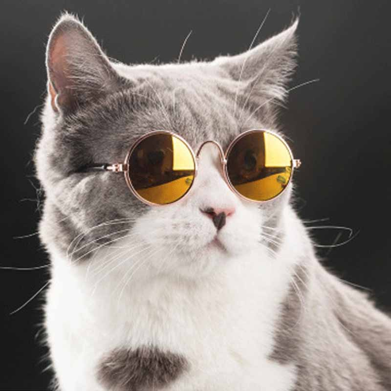 ภาพหน้าปกสินค้าแว่นตากันแดด ทรงกลม สไตล์วินเทจ สําหรับสัตว์เลี้ยง สุนัข แมว ขนาดเล็ก จากร้าน julpet.th บน Shopee