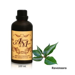 Aroma&amp;More  Ravensara Essential Oil 100% / น้ำมันหอมระเหยราเวนซารา 100% Madagascar 100ML