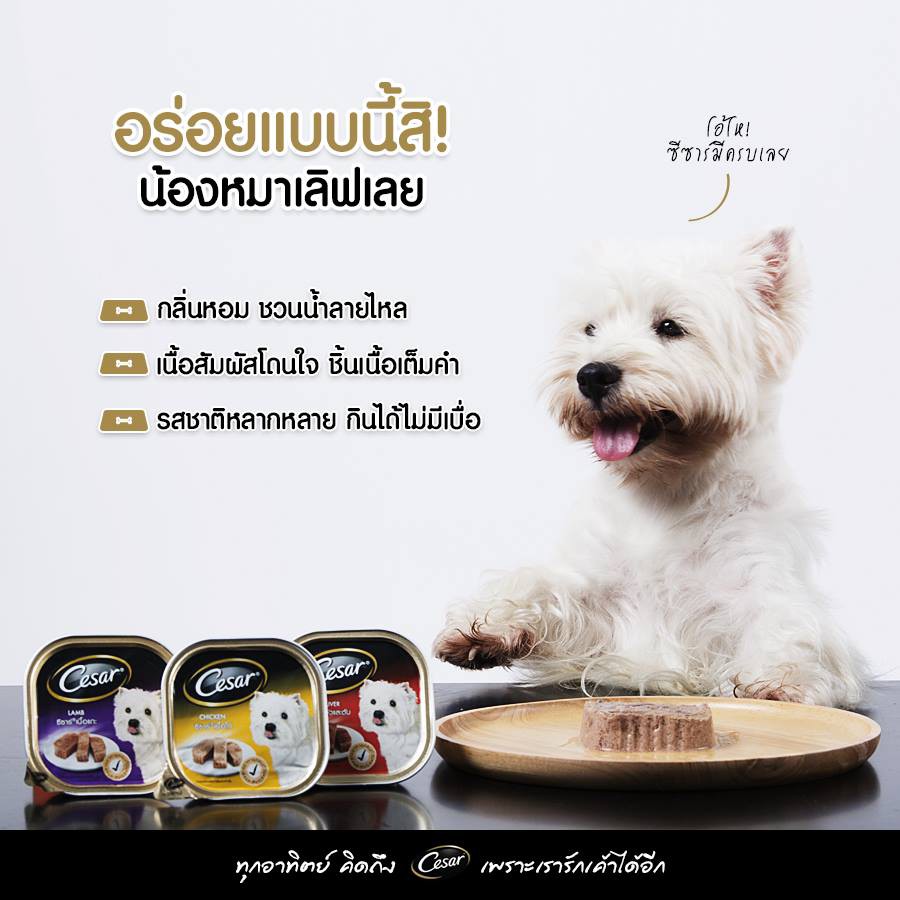 cesar-อาหารเปียกซีซาร์แบบถาด-ขนาด-100g-อาหารเปียกสุนัข