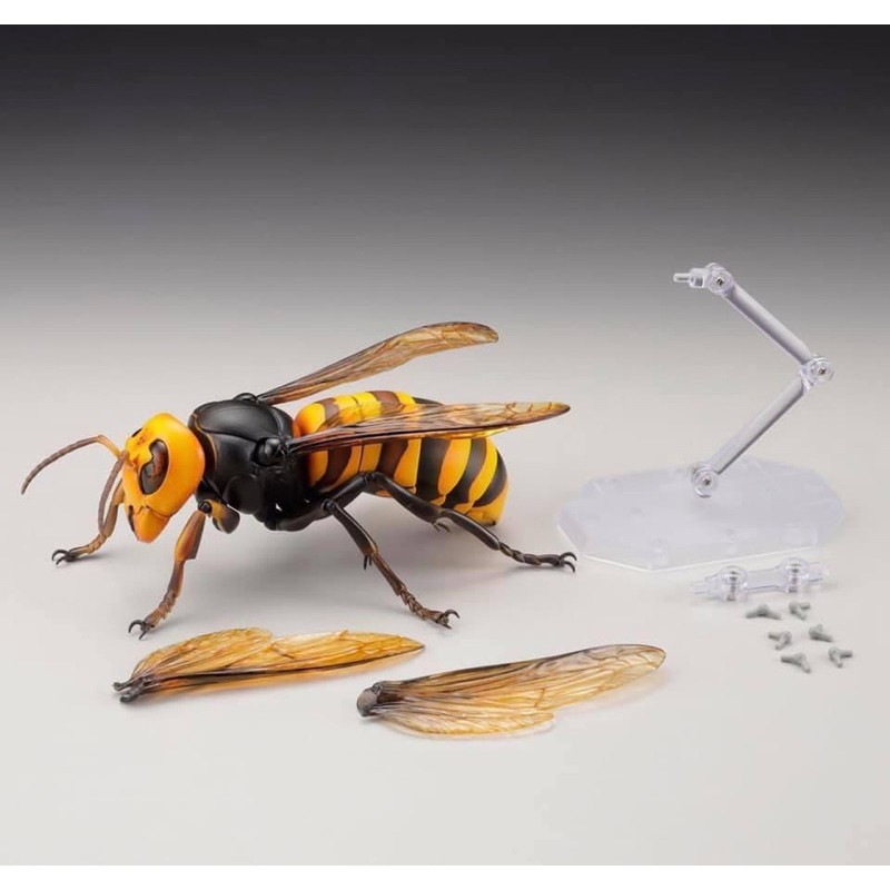 revogeo-vol-3-japanese-giant-hornet-ต่อยักษ์