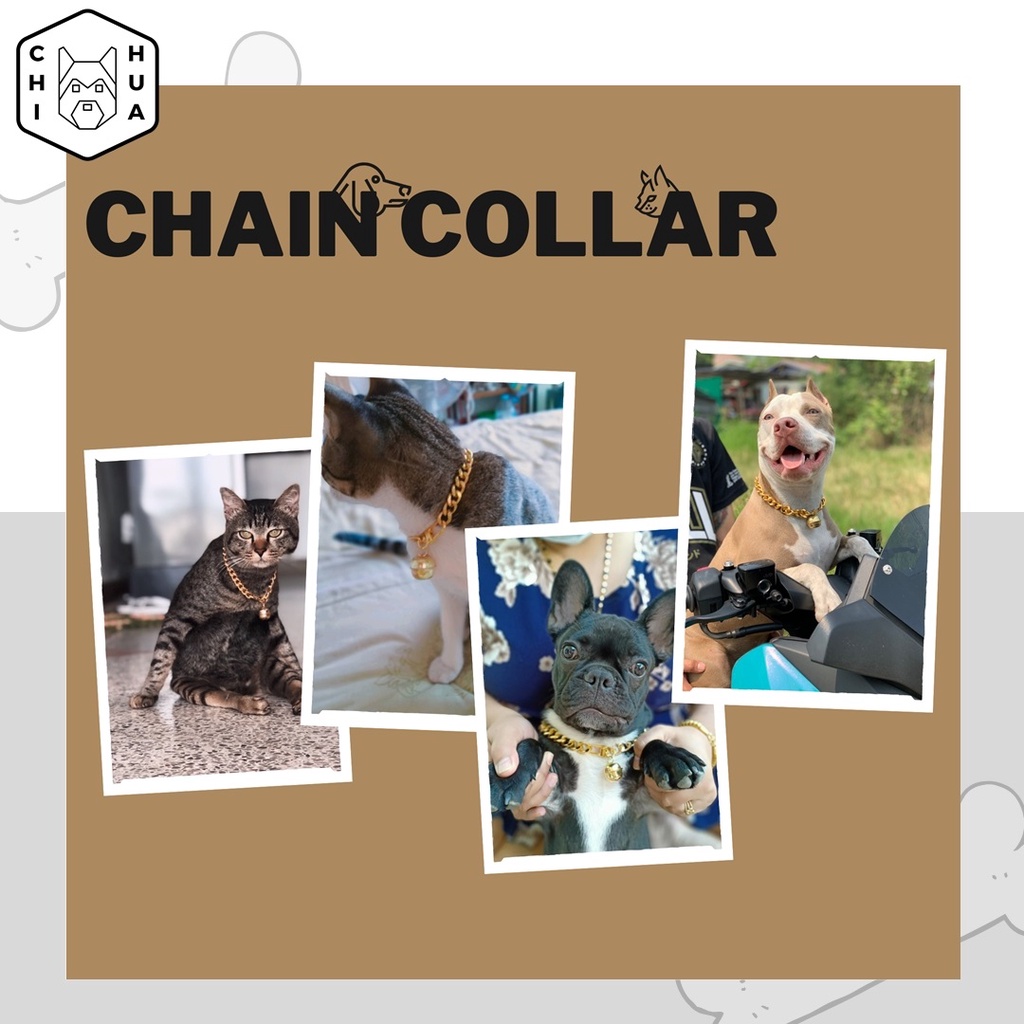 สร้อยคอสัตว์เลี้ยง-chain-collar-ทำความยาวตามรอบคอสัตว์เลี้ยง-แถมฟรีกระดิ่ง