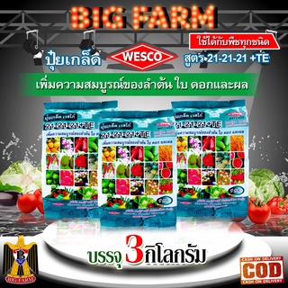 แพ็ค 3 กิโลกรัม WESCO ปุ๋ย 21-21-21 +TE(ธาตุรองเสริม) ปุ๋ยเกล็ด เวสโก้ เพิ่มความสมบูรณ์ของลำต้น ใบ ดอกและผล