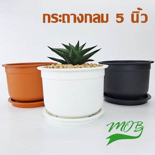 ภาพหน้าปกสินค้าMOB กระถางกลม กระถางต้นไม้พลาสติก 5นิ้ว สูง 4 นิ้ว พร้อมจานรอง พร้อมถาด สีขาว กระถางแคคตัส ที่เกี่ยวข้อง