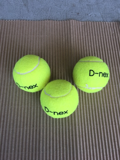ลูกเทนนิส-เทนนิส-dnex-สำหรับซ้อม-ของแท้