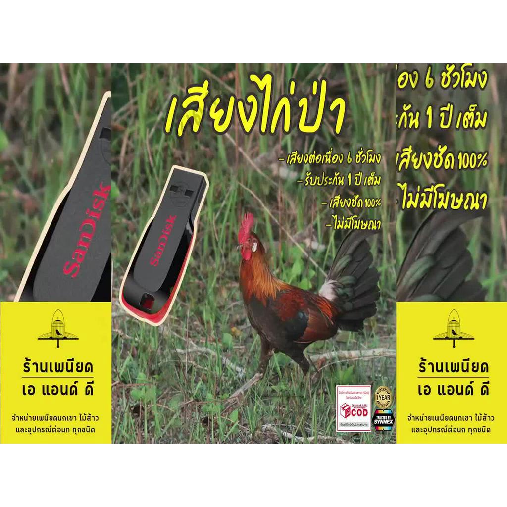 เสียงต่อไก่ป่า-ตัวผู้-ยาว6ชั่วโมง-ไม่มีโฆษณา-แฟลชไดร์ฟ-flash-drive-มีเก็บเงินปลายทาง