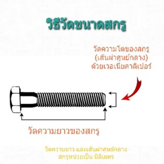 ภาพขนาดย่อของภาพหน้าปกสินค้าสกรูเกลียวปล่อย หัวเตเปอร์ 6 ทุกความยาว จากร้าน plscrewshop บน Shopee ภาพที่ 2