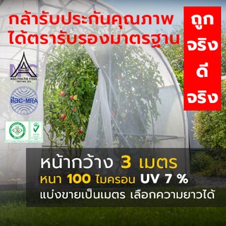 ราคาและรีวิวพลาสติกโรงเรือน หน้ากว้าง 3 เมตร หนา 100 ไมครอน ขายเป็นเมตร เลือกความยาวตามที่ต้องการ