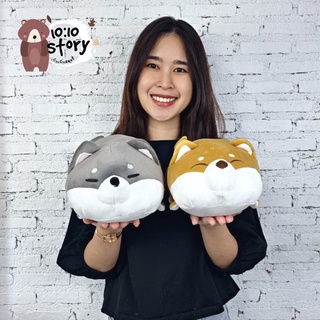 🐕‍🦺 💛 ตุ๊กตาชิบะฮัสกี้ love 🦮💜 แนวตรง 10 นิ้ว แนวโค้ง 12 นิ้ว พร้อมจัดส่ง 💯🔥มีบริการเก็บเงินปลายทาง📌🔖