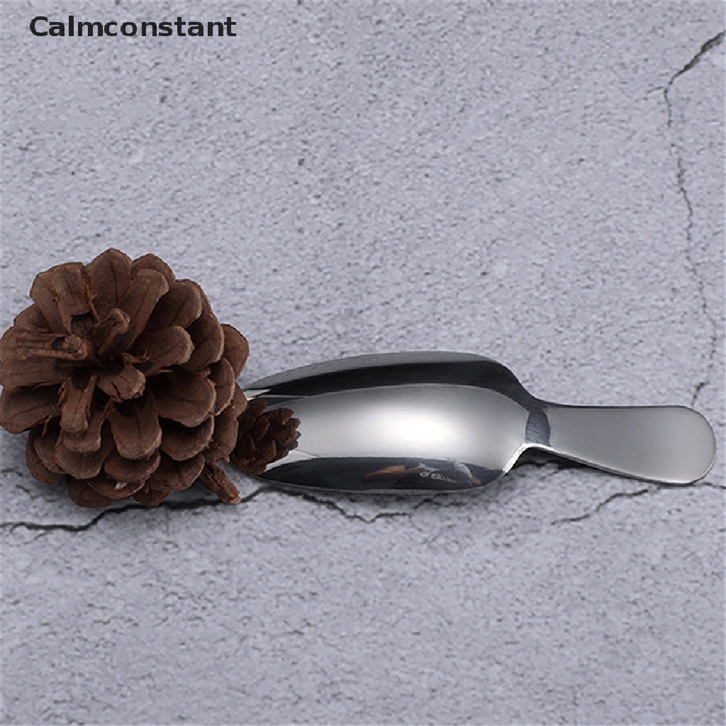 ca-gt-ช้อนสเตนเลส-ขนาดเล็ก-ด้ามจับสั้น-สําหรับตักเครื่องเทศ-เครื่องปรุง-น้ําตาล-ชา-กาแฟ-ด้ามจับไม้-อุปกรณ์ครัว-สําหรับเด็ก