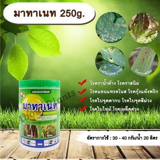 มาทาเนท 250g. แมนโคเซบ+ไทโอฟาเนทเมทิล สารจัดโรคพืช กำจัดเชื้อรา โรคราน้ำค้าง โรคราสนิม โรคแอนแทรคโนส โรคกุ้งแห้งพริก