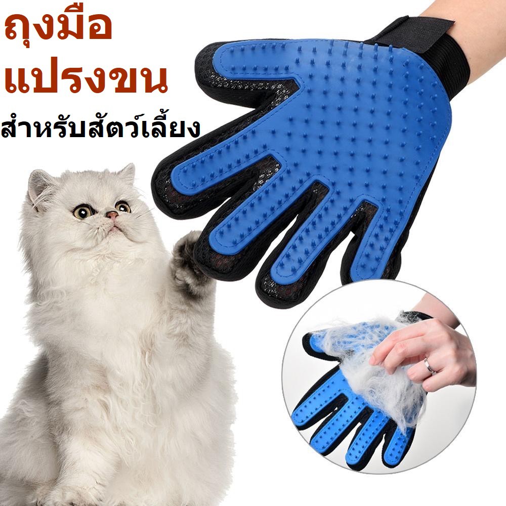 p190-ถุงมือแปรงขน-สำหรับสัตว์เลี้ยง-สุนัข-แมว-p190