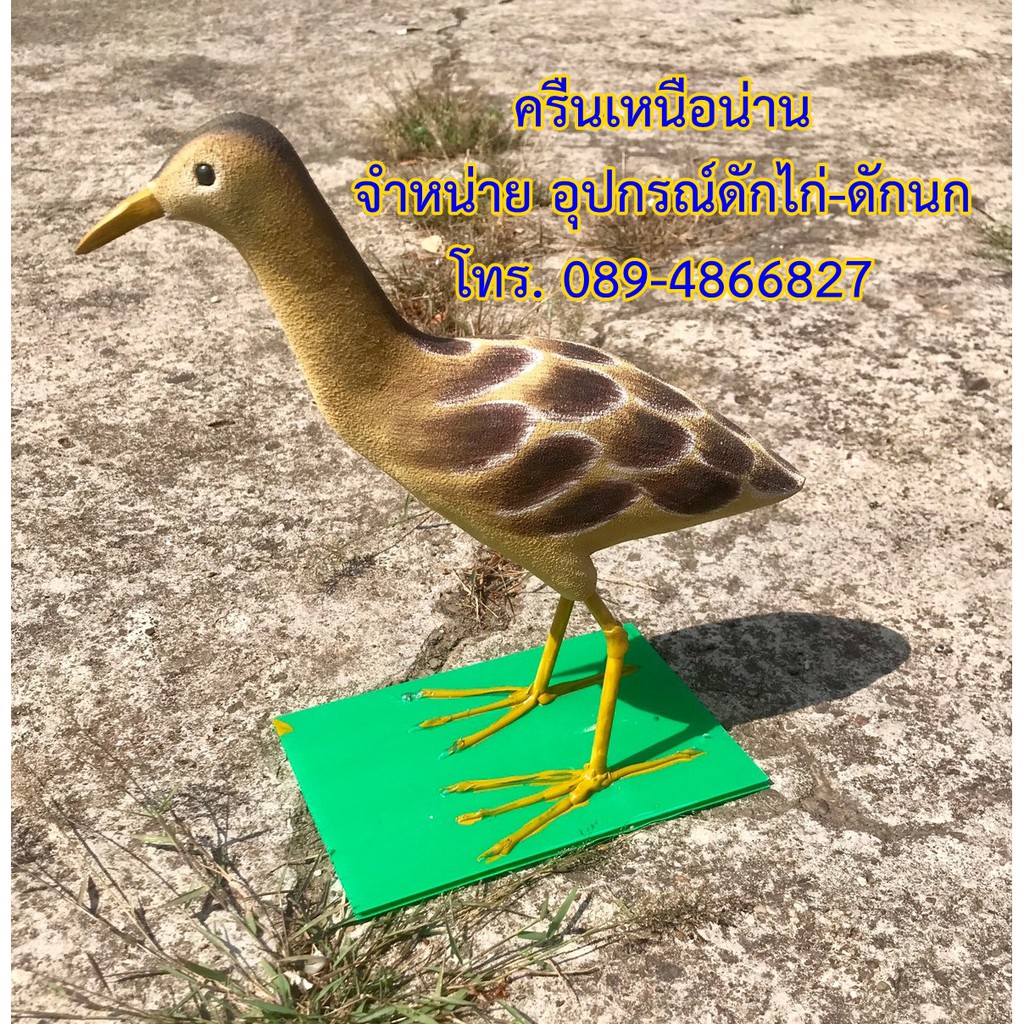 หุ่นนกอีลุ้มตัวเมีย-หุ่นนกปลอม-ทนแดด-ทนฝน