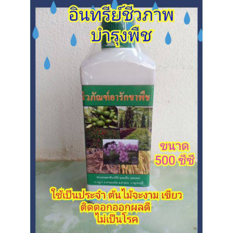 ชีวภัณฑ์อารักขาพืช บำรุงพืชทุกชนิด ครบทั้งปุ๋ยและฮอร์โมนชีวภาพ พร้อมสมุนไพร และฮอร์โมนไข่ ปลา ขนาด 500 ซีซี