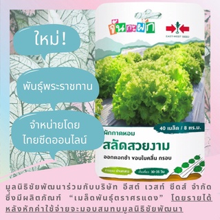 ภาพขนาดย่อของภาพหน้าปกสินค้าGGEW ผักกาดหอม สลัดสวยงาม 40เมล็ด ตราศรแดง เมล็ดพันธุ์พระราชทาน จันกะผัก Lettuce จากร้าน thaiseedonline บน Shopee ภาพที่ 1