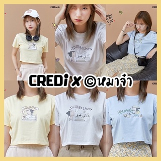 เสื้อครอป หมาจ๋า - A day with a dog &amp; cat v.2 สีเหลือง,ฟ้า,ขาว - crop top