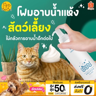 สินค้า โฟมอาบน้ำแห้ง สเปร์อาบน้ำแห้ง ขนฟูนุ่มน่ากอด กลิ่นหอมทันทีที่ใช้ น้องแมวเลียได้  ปลอดภัยสูง สินค้าพร้อมส่งในไทย