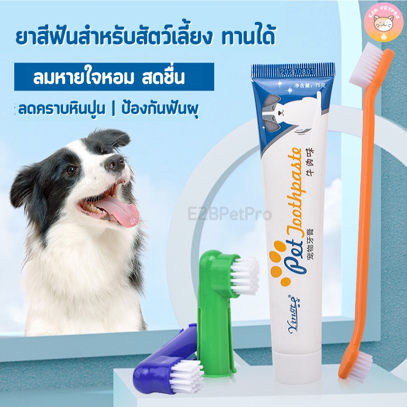 ภาพหน้าปกสินค้าชุดแปรงฟันสัตว์เลี้ยง ยาสีฟันสุนัข แปรงฟันแมว กลิ่นเนื้อกลืนได้ กลิ่นหอมดึงดูด E015 จากร้าน e2b.petpro บน Shopee
