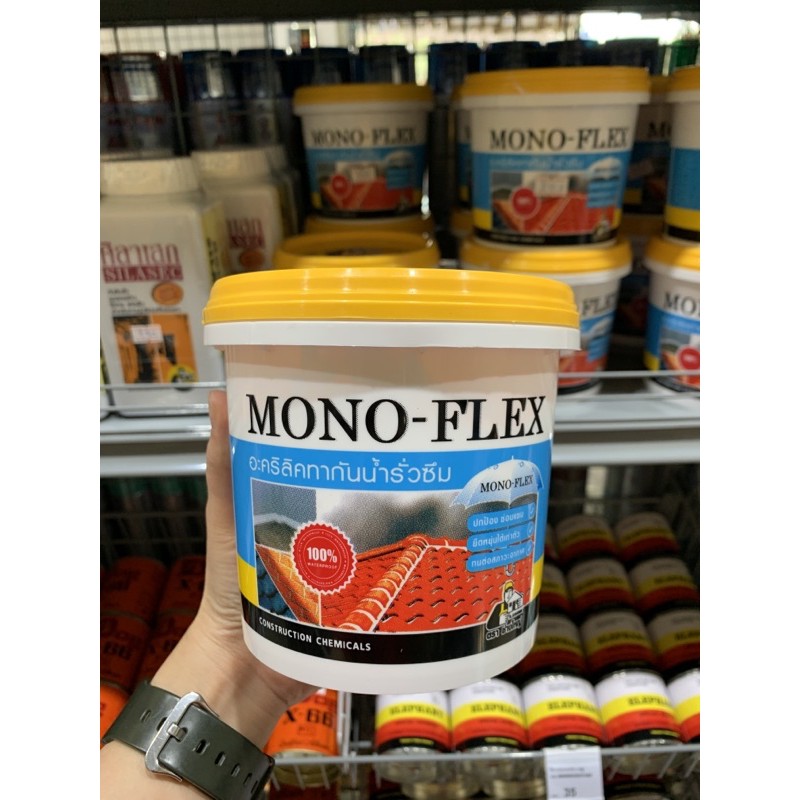 อะคริลิคกันน้ำรั่วซึม-mono-flex-ทำเองได้ไม่ต้องง้อช่าง