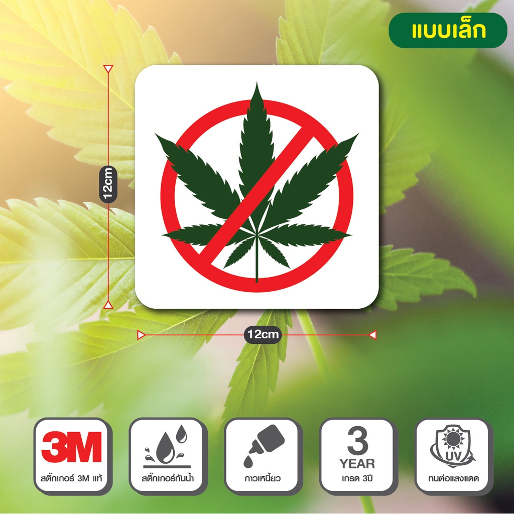 สติ๊กเกอร์-กัญชา-ปลอดกัญชา-cannabist-free-ร้านไส่กัญชา-พื้นที่กัญชา-no-cannabist-3m-แท้-ติดง่าย