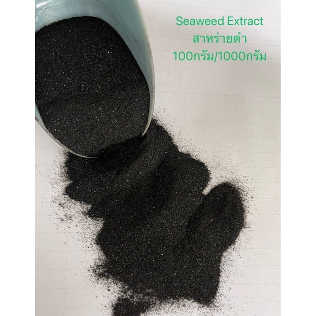 สาหร่ายดำ-seaweed-extract-อาหารเสริมพืช