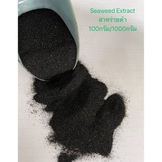 สาหร่ายดำ seaweed extract อาหารเสริมพืช