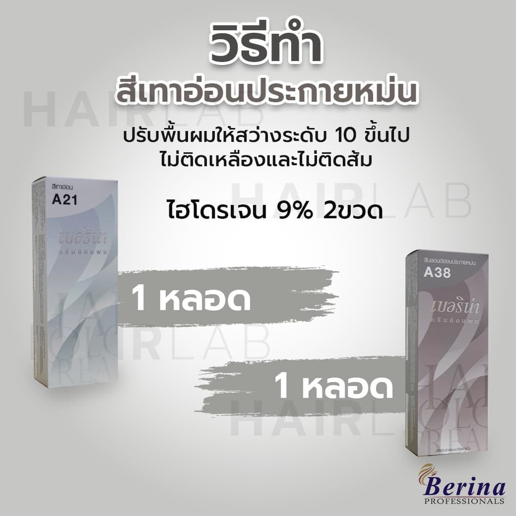 พร้อมส่ง-เซตสีผมเบอริน่า-berina-set-a21-a38-สีเทาอ่อนประกายหม่น-ใช้-2-สีผสมกัน