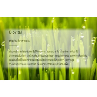 ภาพขนาดย่อของภาพหน้าปกสินค้าแท้ % ค่าส่งถูก ไบโอไวทัล อ้วยอัน BioVital Herbal One อ้วยอันโอสถ 60 แคปซูล สารสกัดจากต้นข้าวสาลีอ่อน จากร้าน yoon65_lucrative บน Shopee ภาพที่ 3