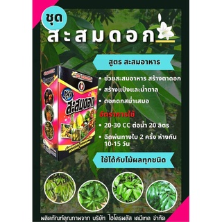 ชุดสะสมดอก ขนาด 2 ลิตร ช่วยสะสมอาหาร สร้างแป้งและน้ำตาล สร้างตาดอก ดอกดกสม่ำเสมอ