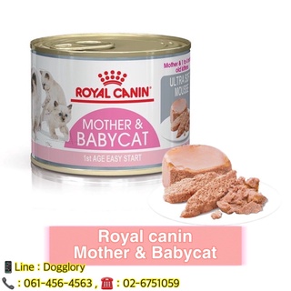 Royal Canin  Mother baby cat can กระป๋องแม่และลูกแมว  babycat can
