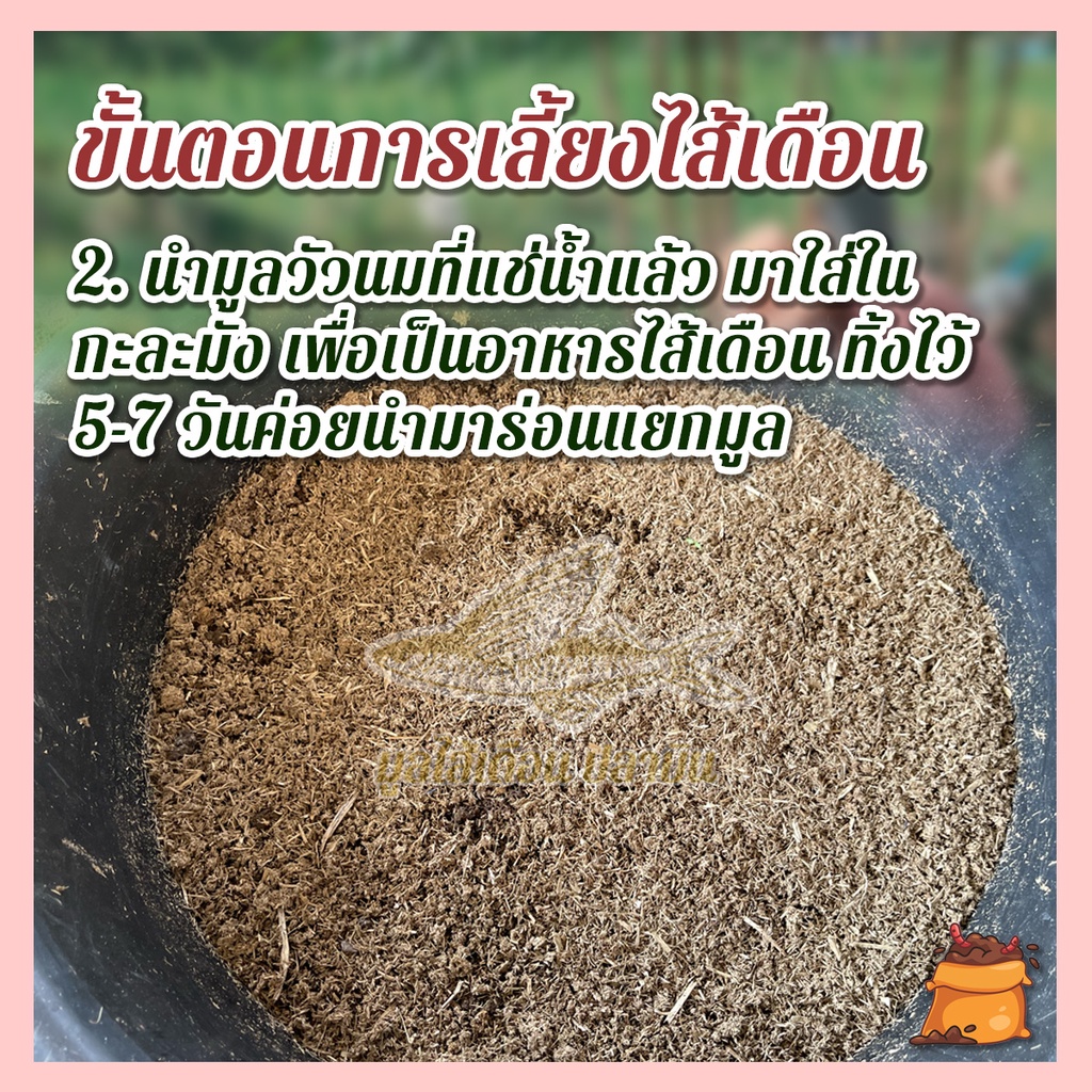 ภาพสินค้ามูลไส้เดือนปลาบิน มูลไส้เดือนแท้100% ไม่ผสม คุณภาพดีที่สุดใช้กับต้นไม้ได้ทุกชนิด น้ำหนัก (800-1,000 กรัม) จากร้าน plabin.thailand บน Shopee ภาพที่ 5